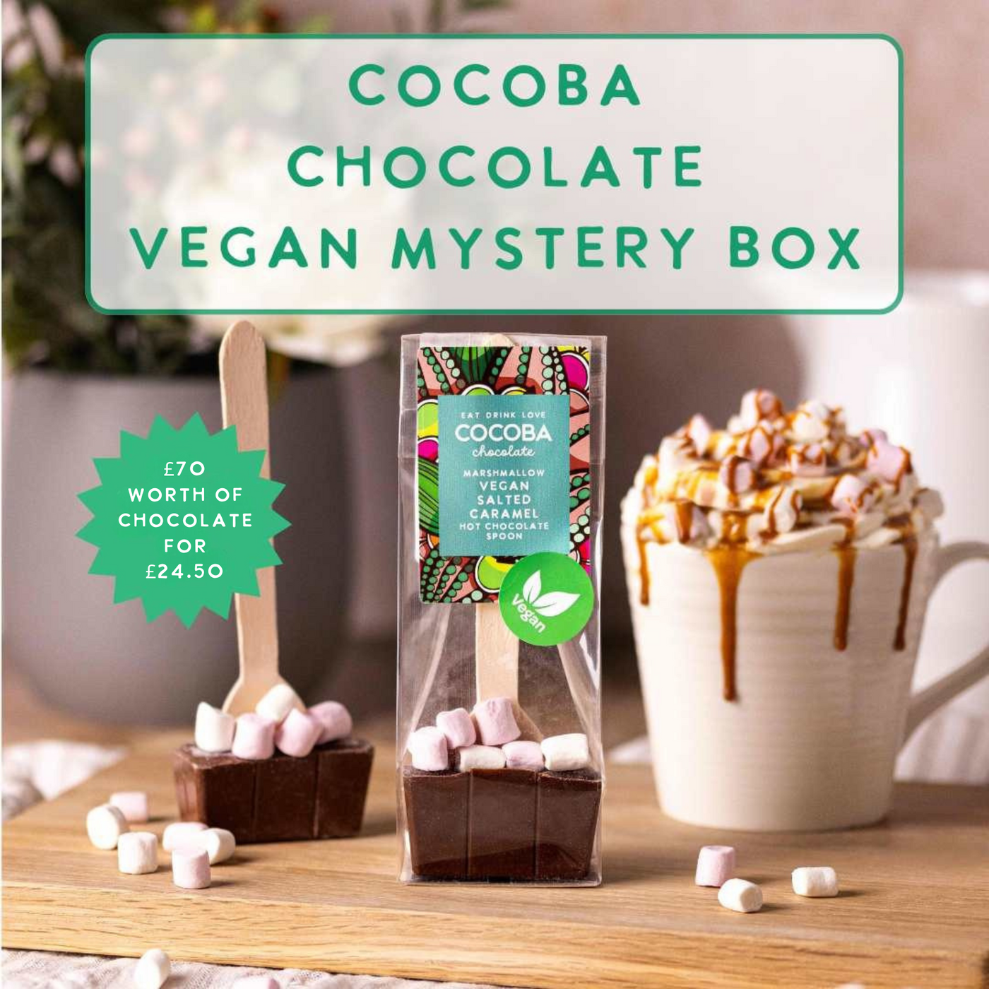 Vegan Mystery Treat Box