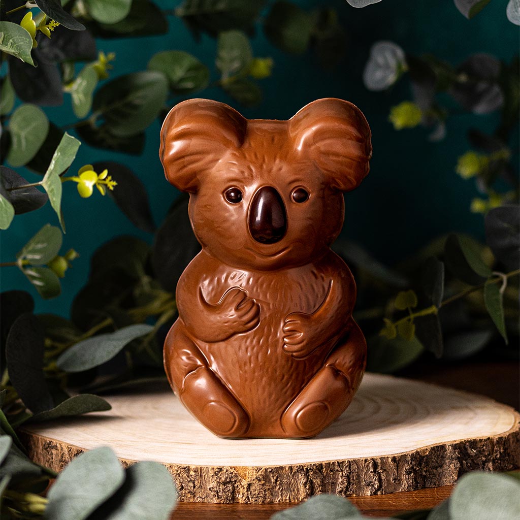 Milk Chocolate Koala Character on a forest background