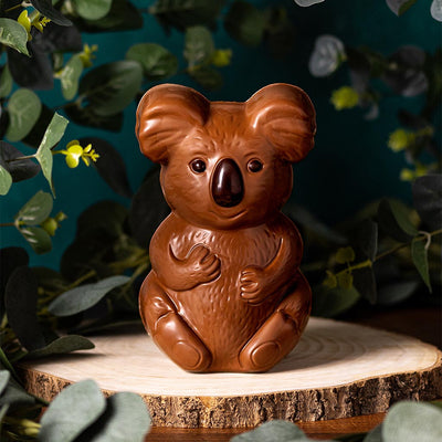 Milk Chocolate Koala Character on a forest background