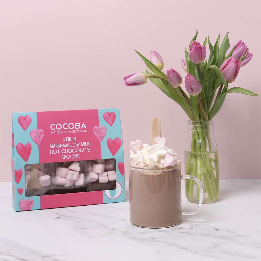Hot Chocolate Spoon Gift Set with Heart Marshmallows